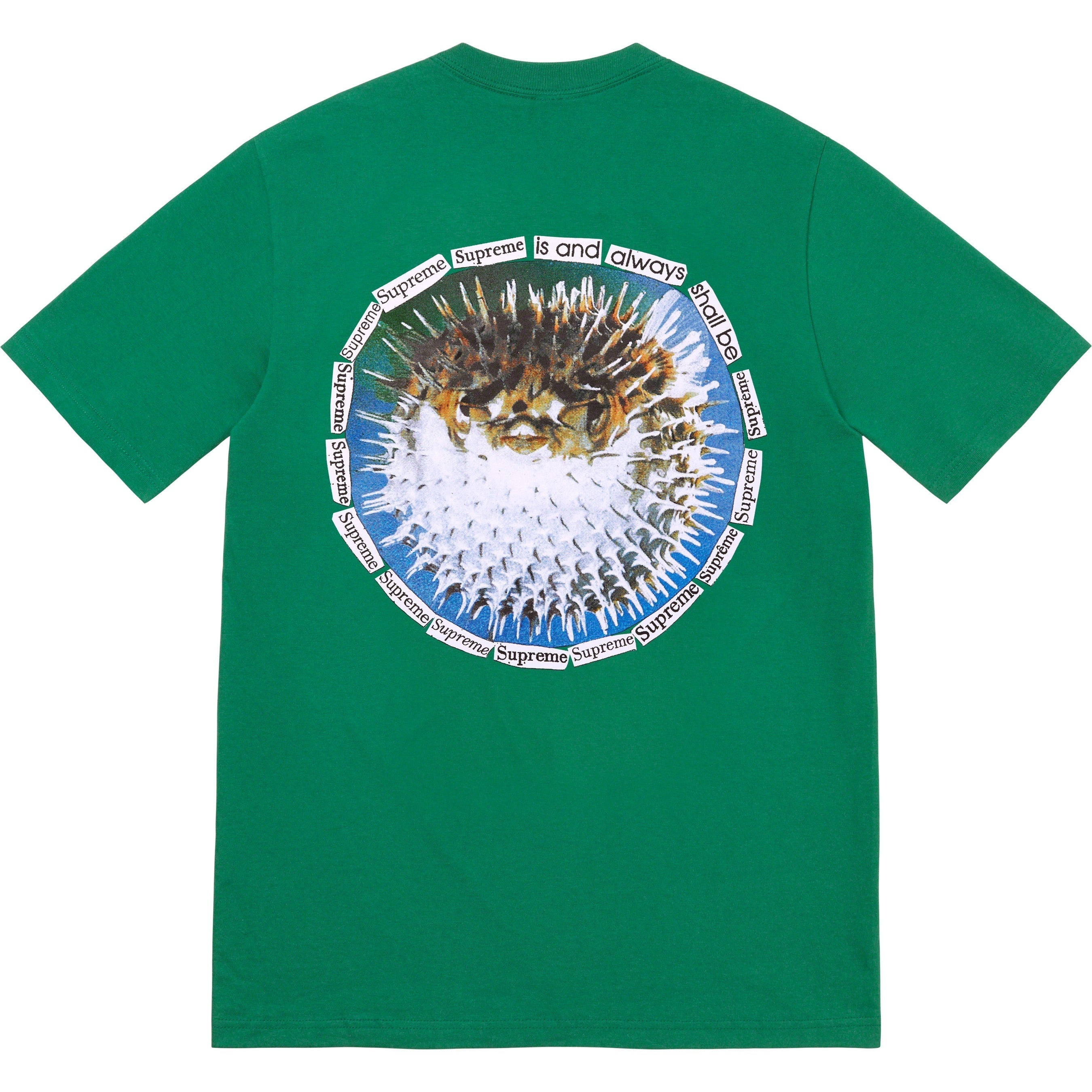 Blowfish Tee view 14